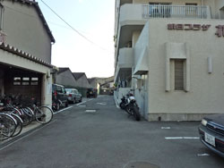 �����v���U�ԉ�