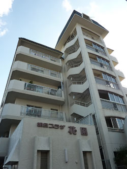 �����v���U�ԉ�