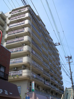 �����v���U�ݗ�