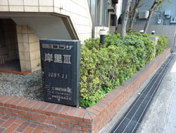 �����v���U�ݗ��V