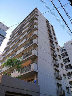 �����v���U�ݗ��V