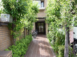 �����v���U�k����