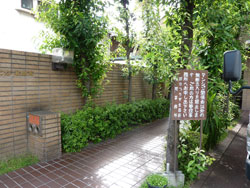 �����v���U�k����