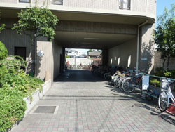 �����v���U�v���[���ݗ�