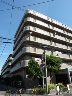 �����v���U�v���[���ݗ�