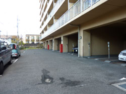 �����v���U�V�������U