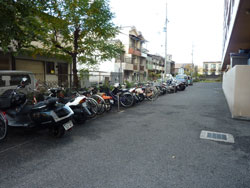 �����v���U�V�������U