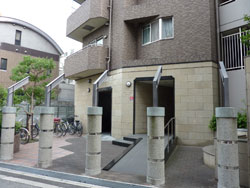 �V�����}���t�W�r���g���A�[�V�_�m�X