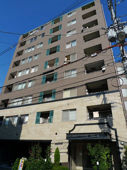 �V�����}���t�W�r���g���A�[�V�_�m�X