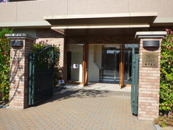 �V�e�B�[�Y�}�[�N�V������