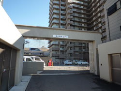 �V�e�B�[�Y�}�[�N�V������