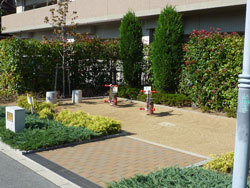 �V�e�B�[�Y�}�[�N�V������