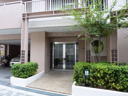 �V�e�B�[�z�[���Y��ˎR��