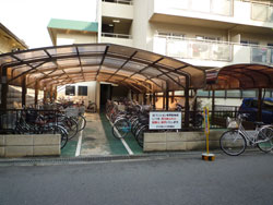 �_�C����n�C�c