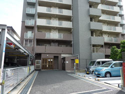 �f�B�A�X�e�[�W�ʏo