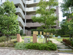 �f�B�A�X�e�[�W�ʏo