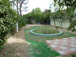 �G�������h�}���V������Î�