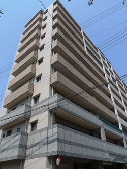 �G�X�e���R�[�g���F���f�p�[�N