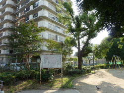 ���{�X�J�C�n�C�c