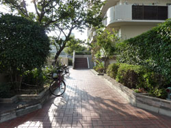 ���{�X�J�C�n�C�c