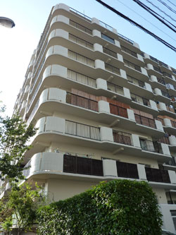 ���{�X�J�C�n�C�c