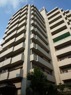 �ݗ����p�[�N�z�[���Y