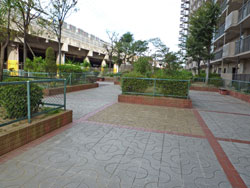 �R�X���n�C�c�ʏo