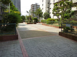 �R�X���n�C�c�ʏo