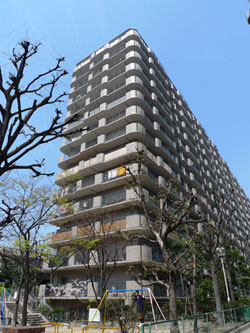 �R�X���n�C�c�ʏo