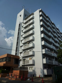 ��Î�R�[�|