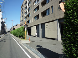 ��C�V�e�B�[�n�C�c�V������