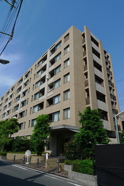 ��C�V�e�B�[�n�C�c�V������