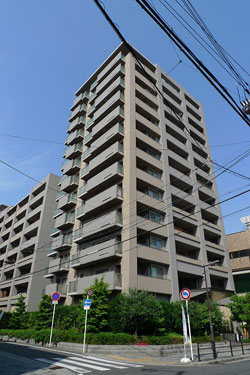 ��C�V�e�B�[�n�E�X�V�������X�e�[�V�����t�����g