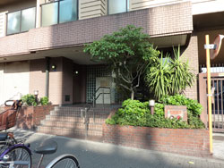 �l�I�R�[�|�ԉ���