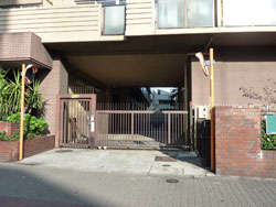 �l�I�R�[�|�ԉ���