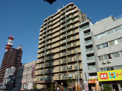 �l�I�R�[�|�ԉ���