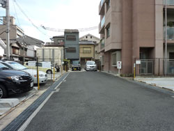 �R�X���n�C�c�ʏo