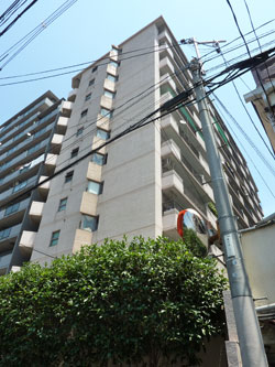 �v���U�ԉ�