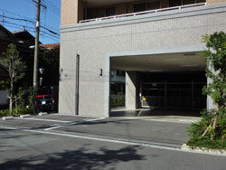 �v���t�@�V�I�V�������G�X�^�V�I��