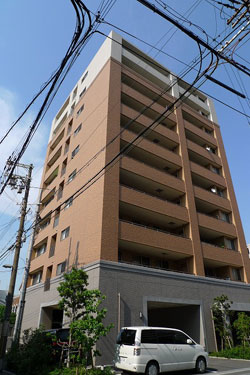 �v���t�@�V�I�V�������G�X�^�V�I��