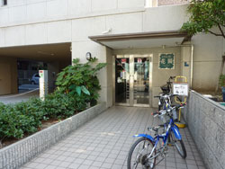 ���C�������h�D�ԉ�