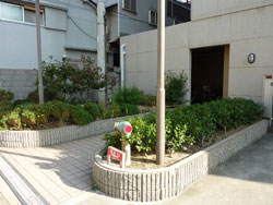 ���C�������h�D�ԉ�