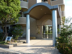 �T���s�A���ʂ�