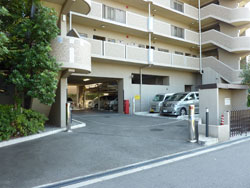 �T���s�A���ʂ�