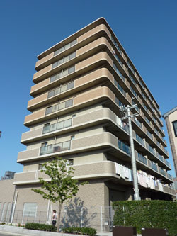 �T���s�A���ʂ�