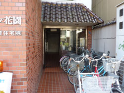 �T���g�s�A�ԉ�