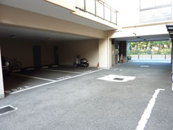 �Z�U�[���V�_�m�X