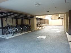 �Z�U�[���V�_�m�X