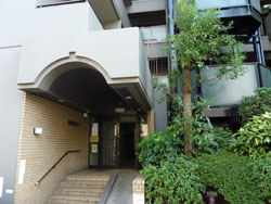 �V�����}���R�[�|�ԉ�