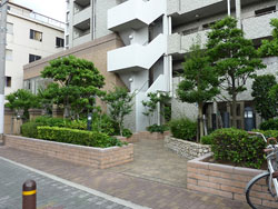 ���V��V�e�B�^���[